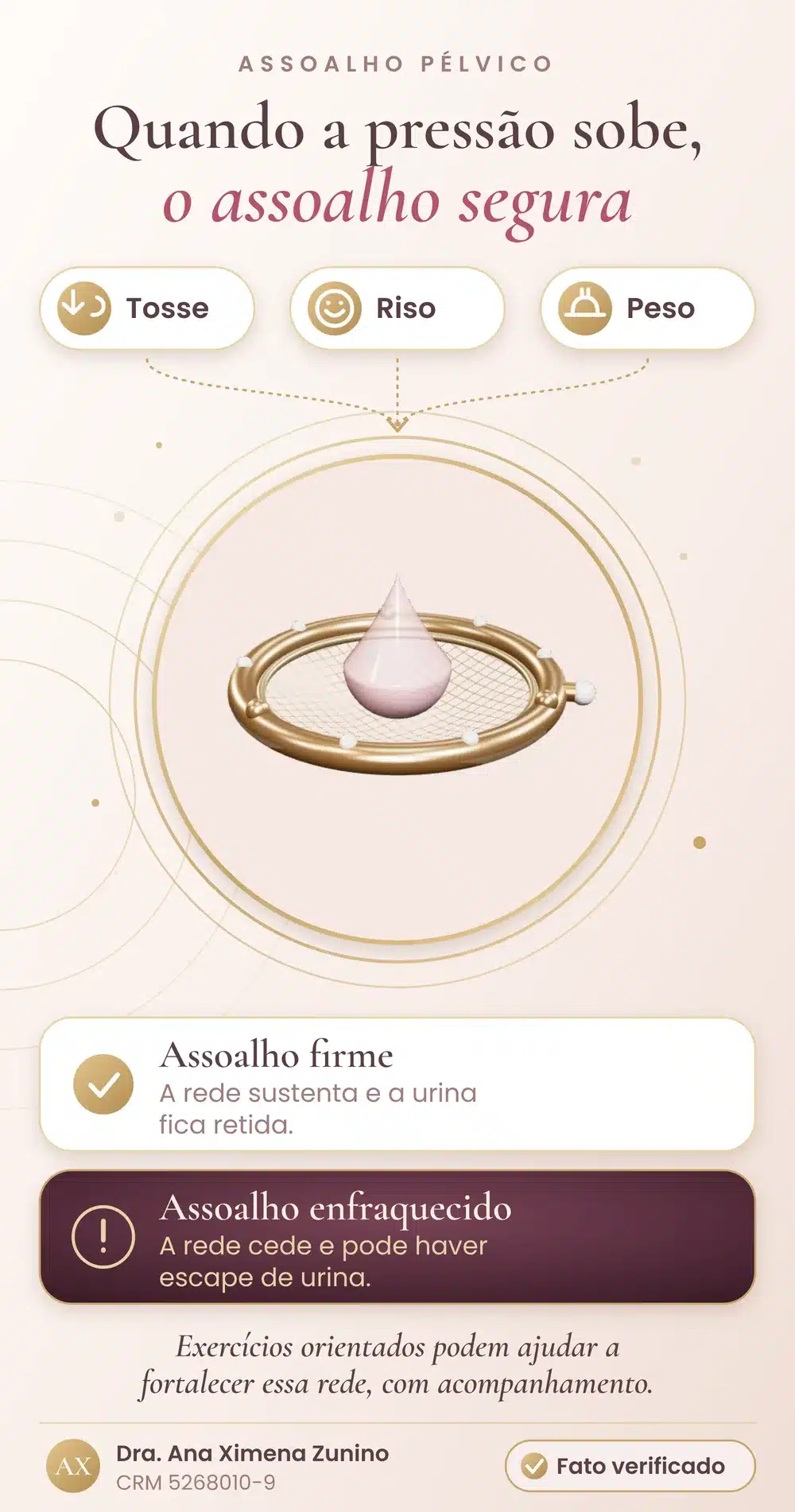 Infográfico com uma gota rosada sobre uma rede dourada: tosse, riso e peso aumentam a pressão, o assoalho firme sustenta e o enfraquecido pode deixar a urina escapar